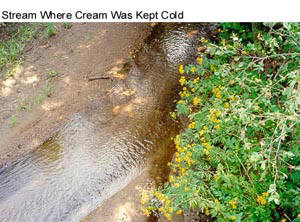 CreamStream.jpg 24.9K